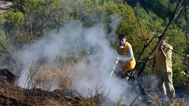 Balıkesir'de orman yangını (3)