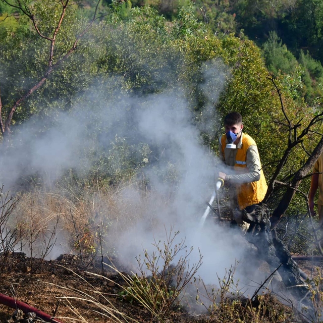 Balıkesir'de orman yangını (3)