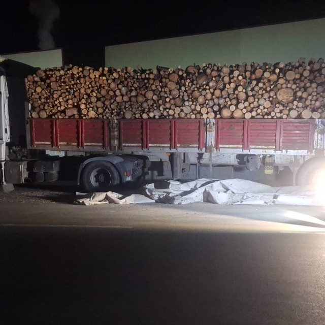 Brandayı toplarken otomobilin çarptığı TIR sürücüsü öldü