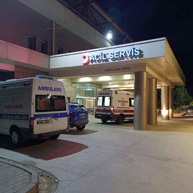 Diyarbakır'da düğünde çıkan kavgada 2 kişi hafif yaralandı