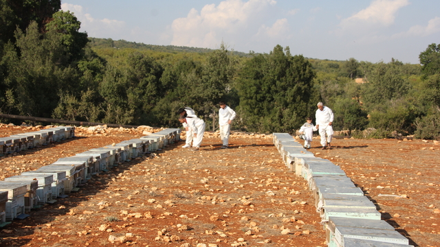 Toros Dağları'nda üretilen çiçek balı Fransa ve İngiltere'den 3 ödül kazandı