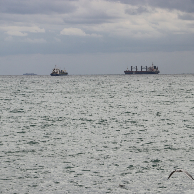 Tekirdağ'da poyraz 3 gündür deniz ulaşımını olumsuz etkiliyor