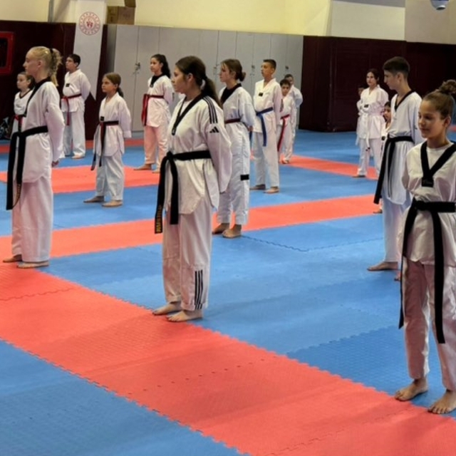 Kırklareli'nde tekvandocular için kuşak sınavı yapıldı