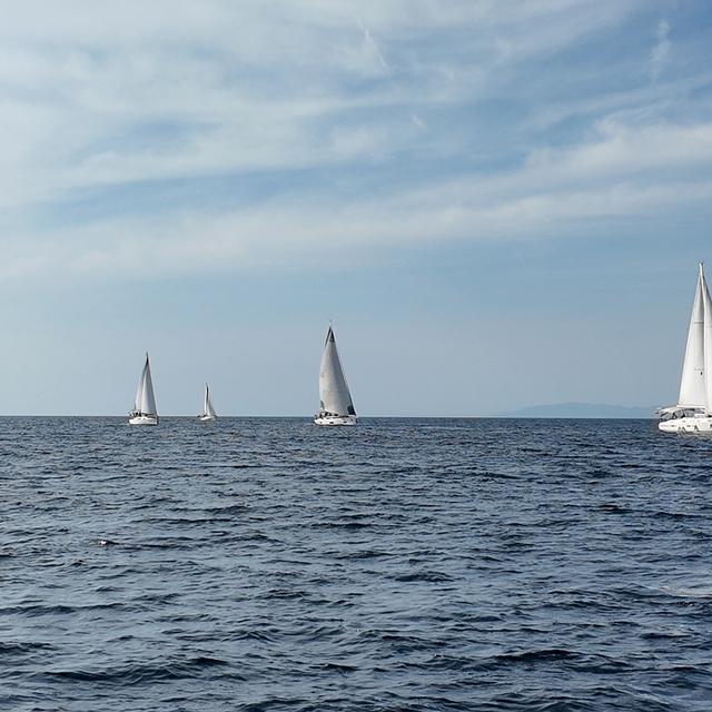 İzmir'de MW Phokaia Uluslararası Yelken Şenliği düzenlendi