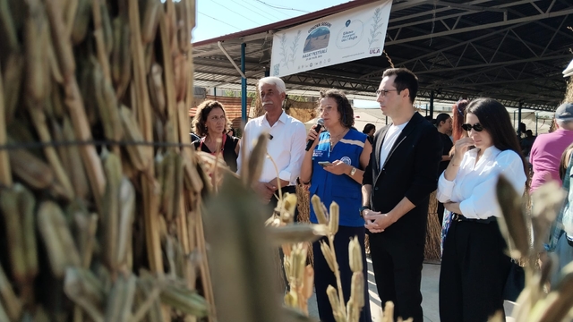 Muğla'da coğrafi işaretli Gökova susamı hasat edildi