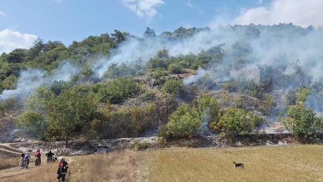 Tokat'ta ormanlık alanda çıkan yangın söndürüldü
