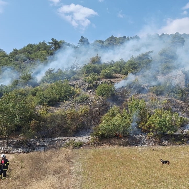 Tokat'ta ormanlık alanda çıkan yangın söndürüldü