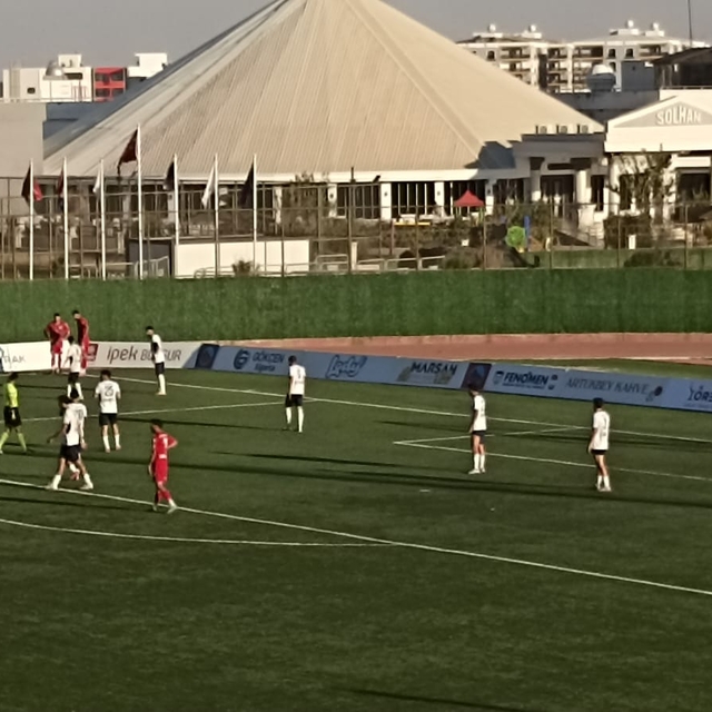 Mardin 1969 Spor- 1461 Trabzonspor FK: 2-1