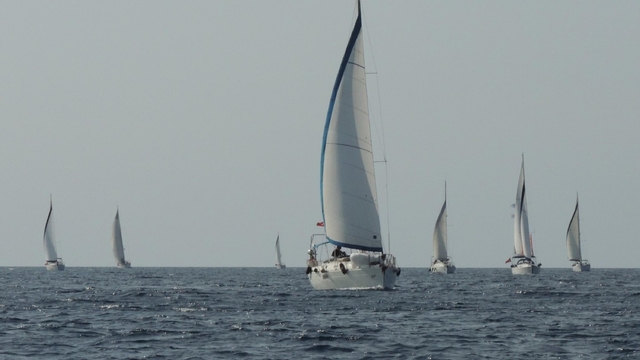 Galeri