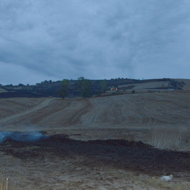 Samsun'da anız yangınında yaklaşık 150 dekar tarım arazisi zarar gördü