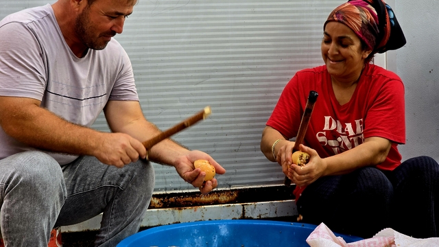 Mahalleliyi birleştiren imece geleneği; nar ekşisi