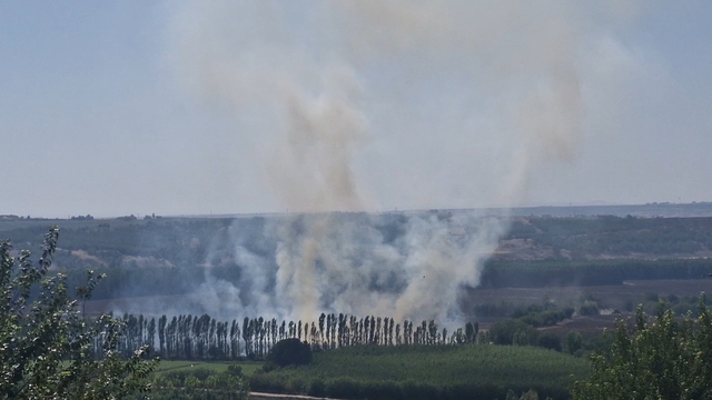 Hevsel Bahçeleri'nde çıkan anız yangını söndürüldü