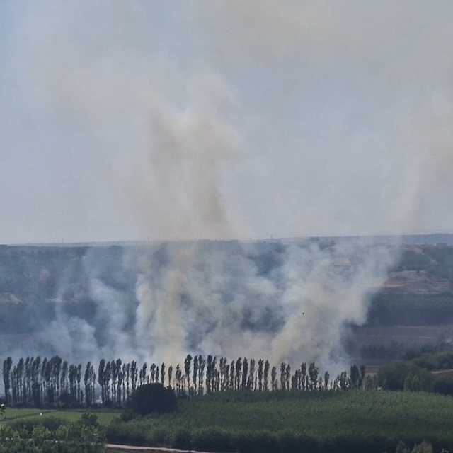Hevsel Bahçeleri'nde çıkan anız yangını söndürüldü