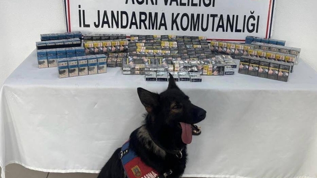 Ağrı'da kaçak sigaralarla yakalanan 4 şüpheli gözaltına alındı