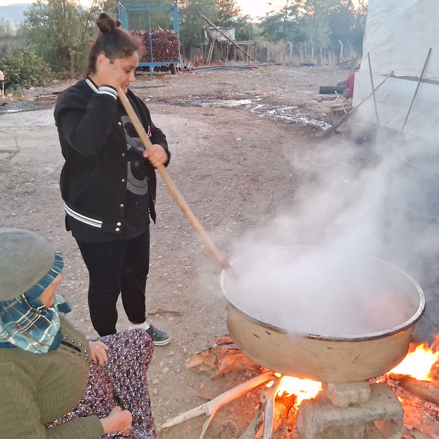 Samsun'da kadınlar kış hazırlığı için kuşburnu marmeladı yaptılar