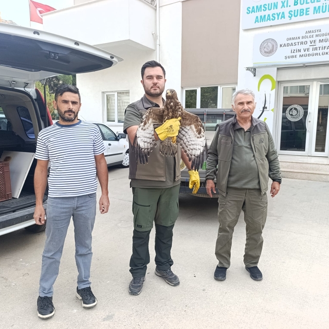 Yaralı bulduğu şahini ekiplere teslim etti