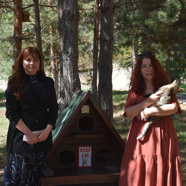 Gümüşhane Üniversitesi'nde "Kedi Evleri" kuruldu