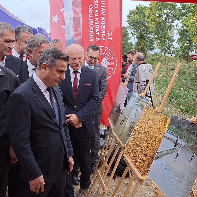 Bafra Ovası'nda 11. Çeltik Hasat Günü düzenlendi