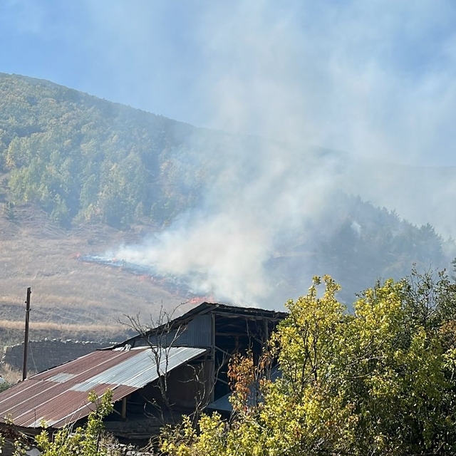 Gümüşhane'de çıkan orman yangını söndürüldü
