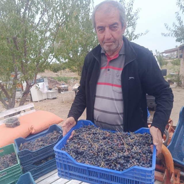 Enez'den yurdun her yerine kargoyla aronya gönderiliyor