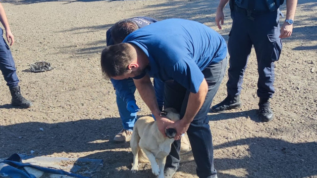 Tekirdağ'dan kısa kısa