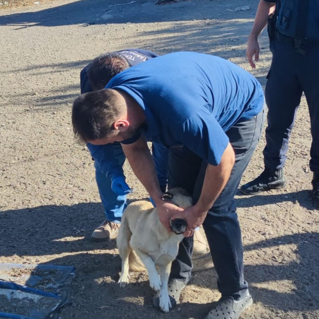 Tekirdağ'dan kısa kısa