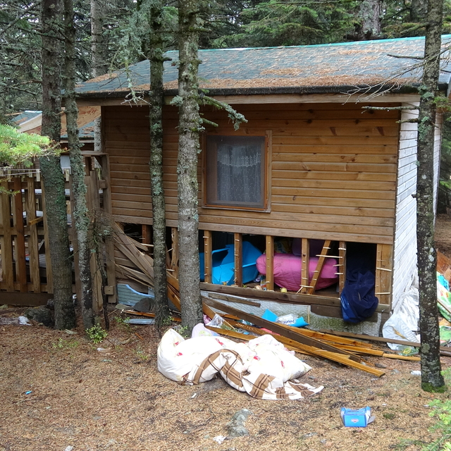 Uludağ'da ayılar, tatilcilerin yiyecek bıraktığı 18 baraka ve eşyalara zara...