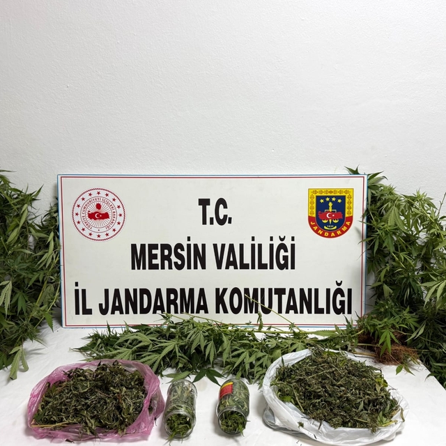 Mersin'de 8 kilo 690 gram esrar ve 234 kök Hint keneviri ele geçirildi
