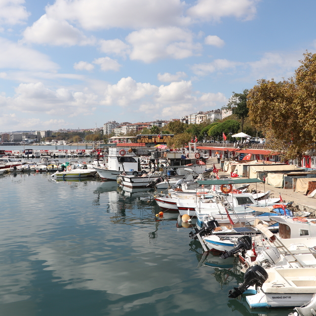 Tekirdağ'da denize açılan balıkçıların yüzü istavritle gülüyor