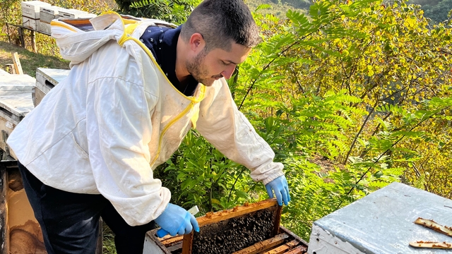 Ordulu arıcı, TKDK'dan aldığı destekle kovan sayısını 150'ye çıkarttı
