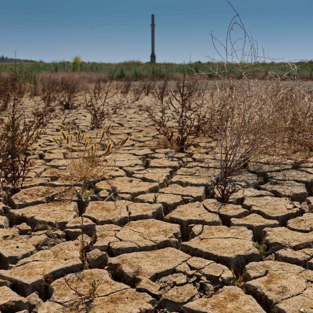 'Kuraklığın etkisi ekimdeki yağışlarla da geçmeyecek'