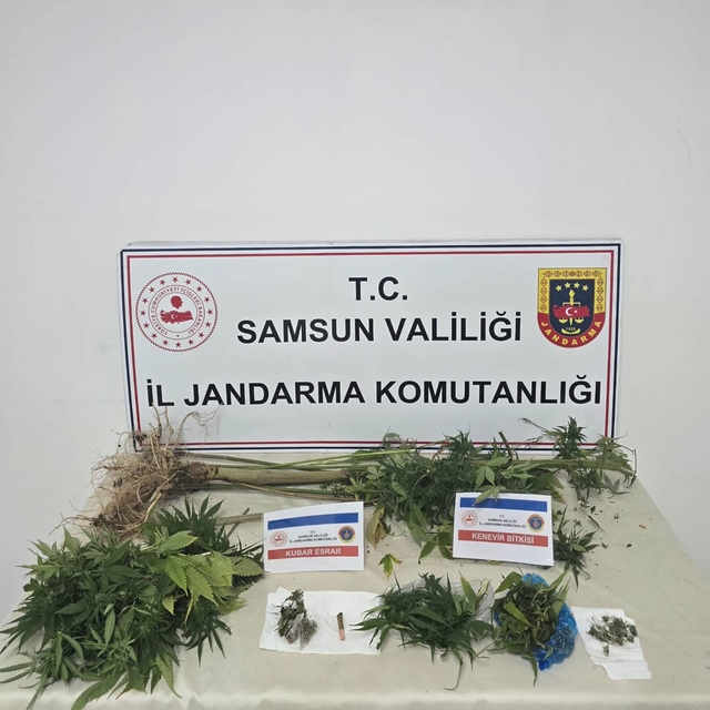 Samsun'da uyuşturucu operasyonunda 1 şüpheli yakalandı