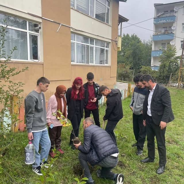 Küre'de öğrencilerden "Yeşil Vatan" için fidan dikimi