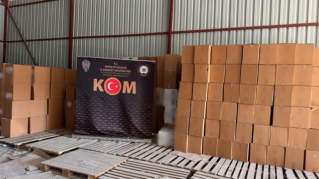 Antalya'da kaçakçılık ve organize suçlarla mücadele sürüyor