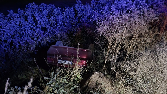 Edirne'de devrilen otomobilin sürücüsü yaralandı