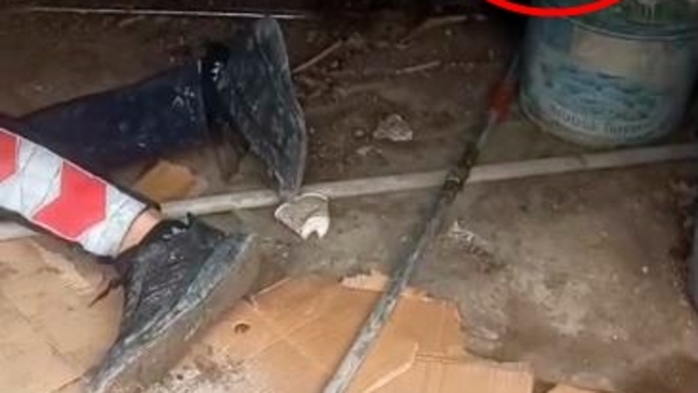 Yavrusu kurtarılırken anne kedinin bölgede bekleyişi kamerada