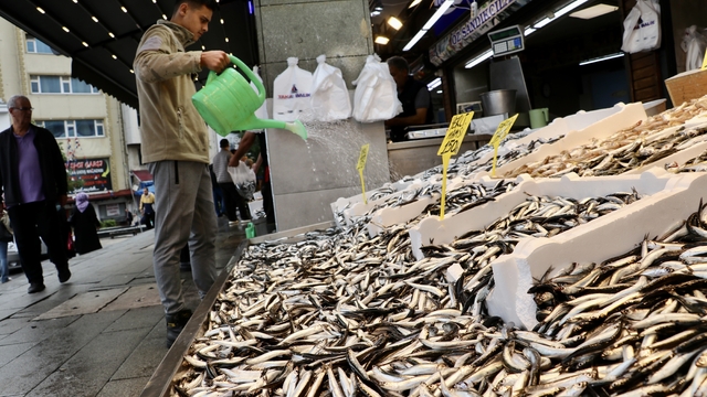 Trabzon'da hamsi ve istavritin kilogramı 100 liradan satılıyor