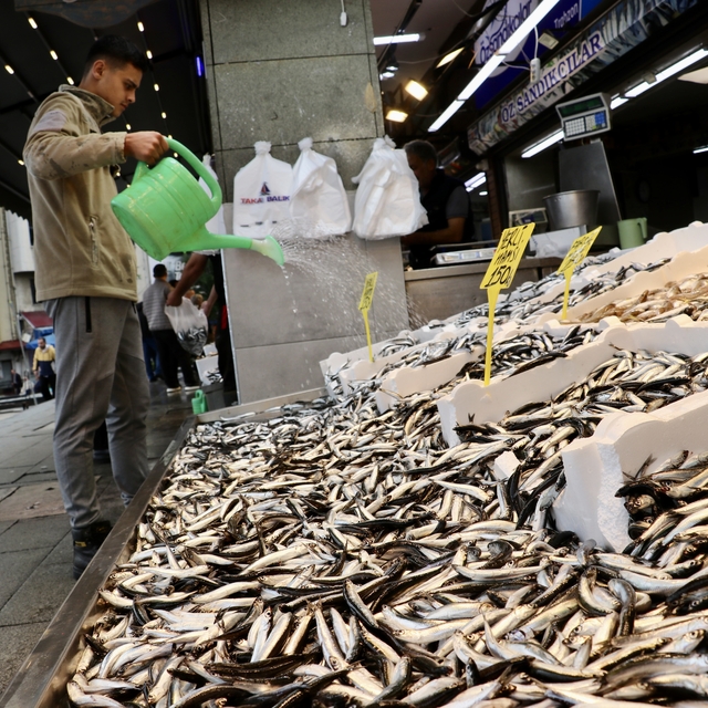 Trabzon'da hamsi ve istavritin kilogramı 100 liradan satılıyor