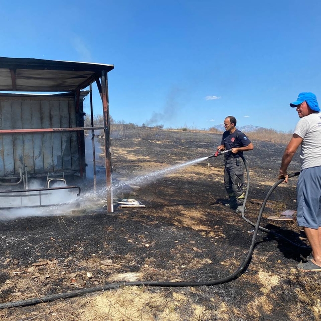 Antalya'da kulübede çıkan yangında 25 güvercin telef oldu