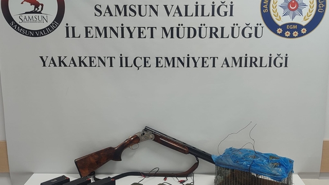 Samsun'da bıldırcınla kaçak avcılık yapan şüpheli yakalandı