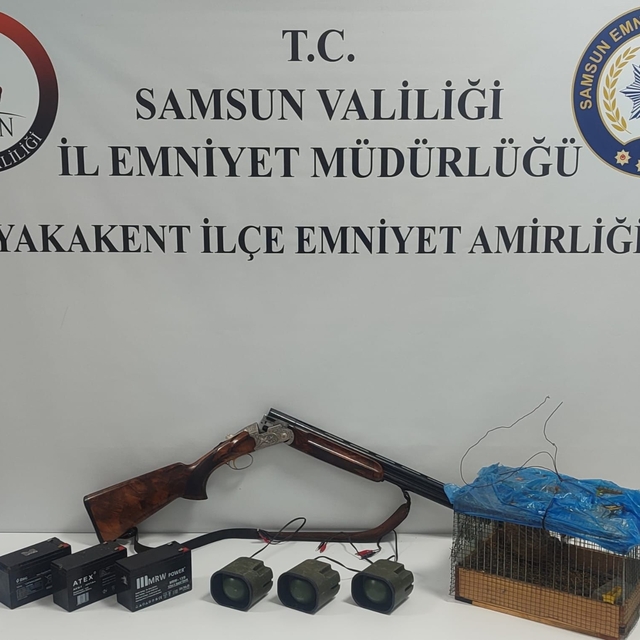 Samsun'da bıldırcınla kaçak avcılık yapan şüpheli yakalandı