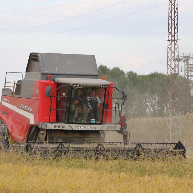 Edirne'den kısa kısa
