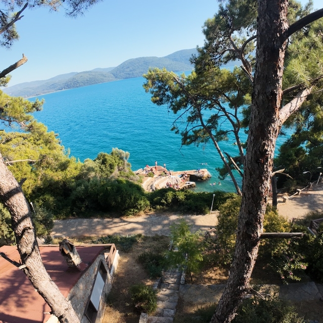 Muğla'da Akyaka Gökova Orman Kampı'na tatilci ilgisi