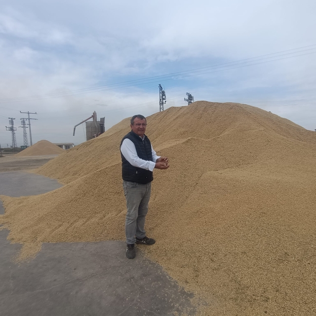 İpsala'da çeltik üreticileri yerli tohumla yüksek verim elde etti