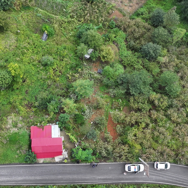 Trabzon'da fındık bahçesine yuvarlanan otomobilin sürücüsü yaralandı