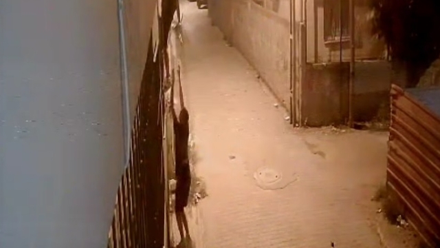 Korkuluklardan tırmanıp, penceredeki kediyi çaldılar