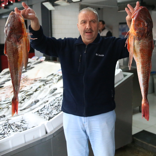 Ordu'da kırlangıç balığının ağlara takılması balıkçıları sevindiriyor
