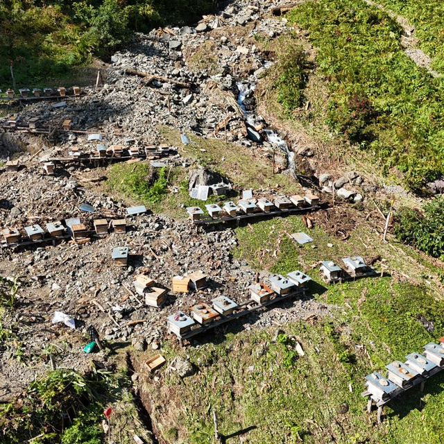 Artvin'de selde arı kovanları da zarar gördü