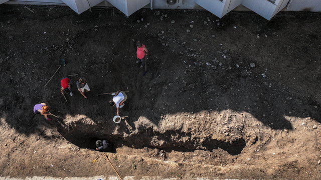 Mersin'de 4 yıl önce toprağa gömülen Fin balinasının iskeleti çıkarılıyor