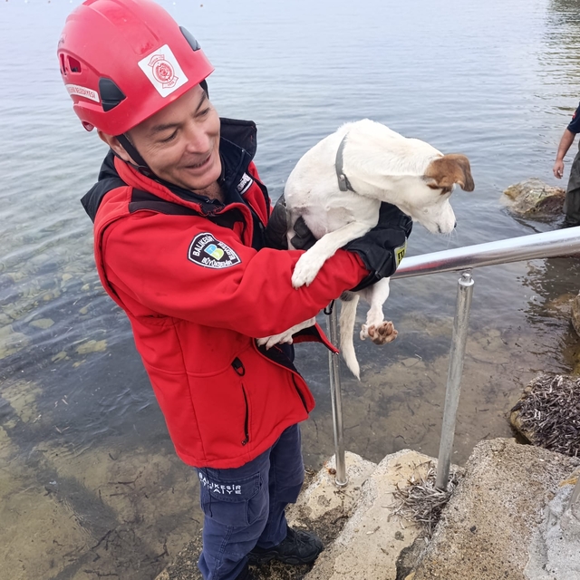 Burhaniye'de sahildeki kayalıklara sıkışan köpeği itfaiye kurtardı